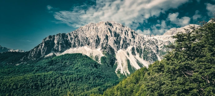 a view of a mountain range with trees in the foreground