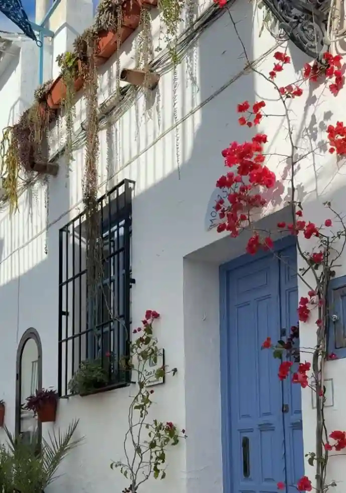 Parete bianca con fiori